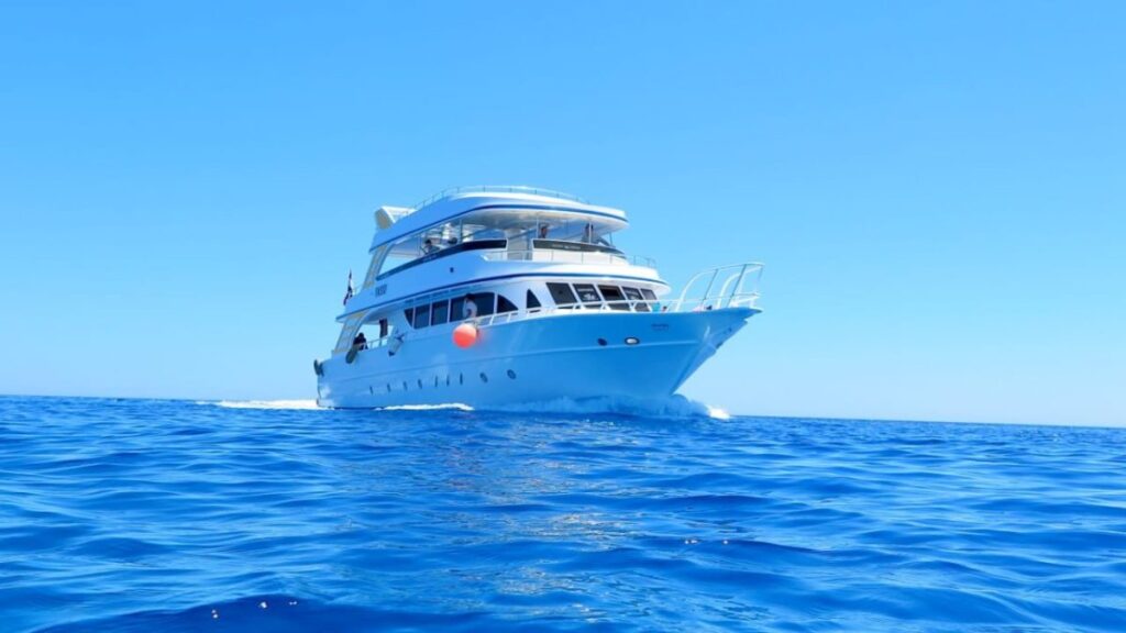 Hurghada-Private-Sea-Trips-e1674480050903