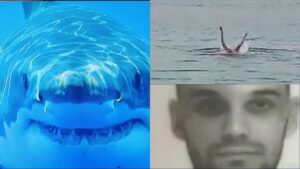 Hurghada Shark Attack 2024: What Happened and How to Stay Safe