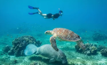Things to Do in Marsa Alam